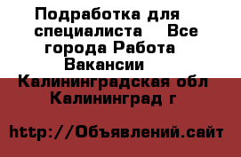 Подработка для IT специалиста. - Все города Работа » Вакансии   . Калининградская обл.,Калининград г.